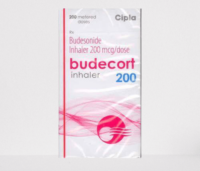 budecort inhaler