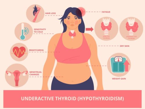 Why Do We Need To Take Care Of Our Thyroid Health?